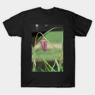 Snakeshead Fritillary T-Shirt